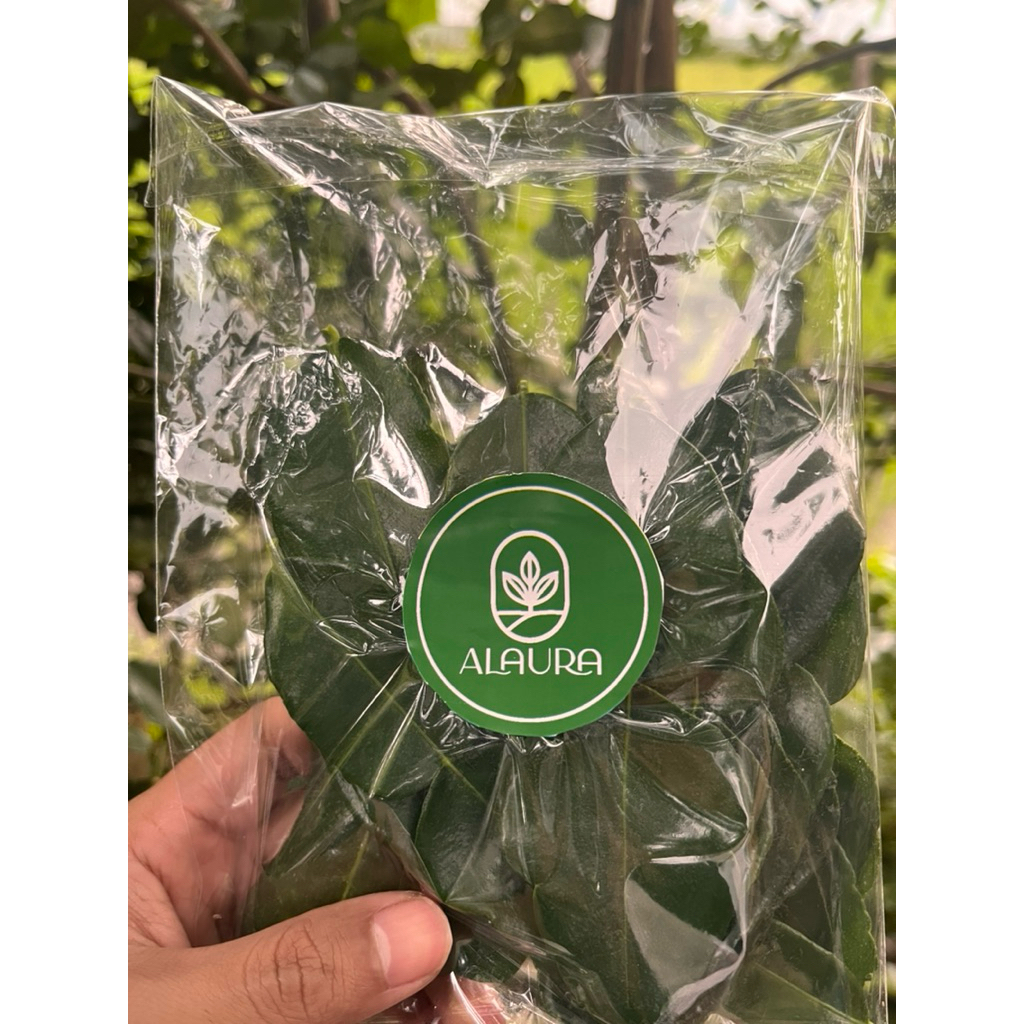 

Daun Jeruk Purut Segar 100g