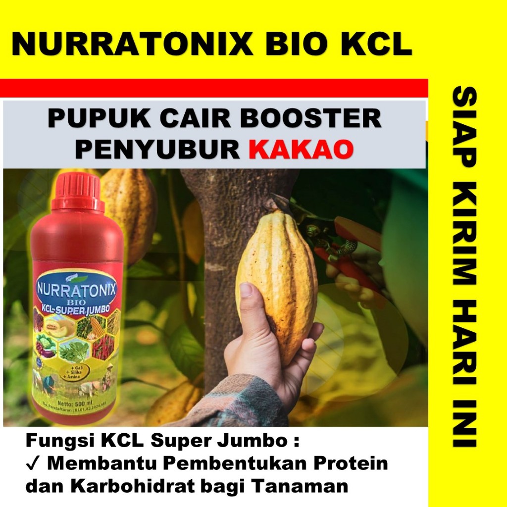 NURRATONIX BIO KCL SUPER JUMBO pupuk cair kakao/coklat - pupuk untuk tanaman coklat/ kakao terbaik