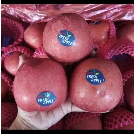 

Apel Fuji premium 1kg