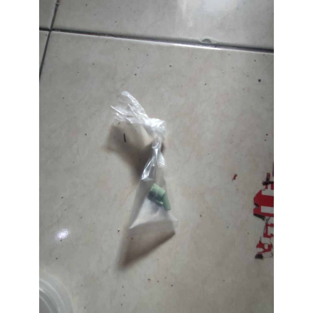 

lem ijo lacoste