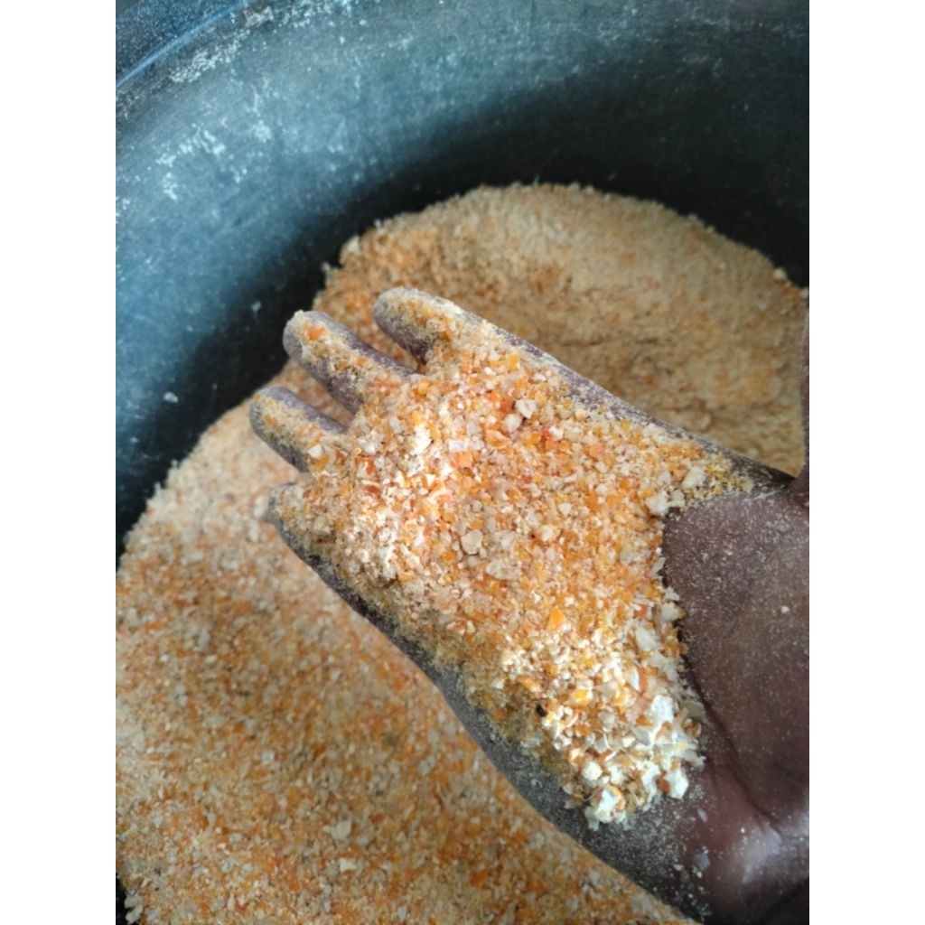 pakan ternak - Dedak Jagung