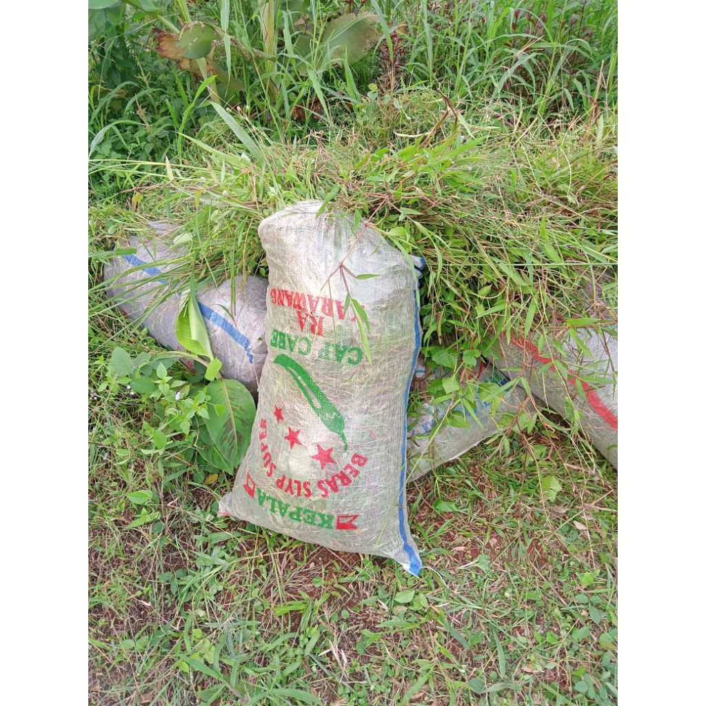 pakan ternak rumput pakan ternak rumput pakan ternak satu karung 50kg