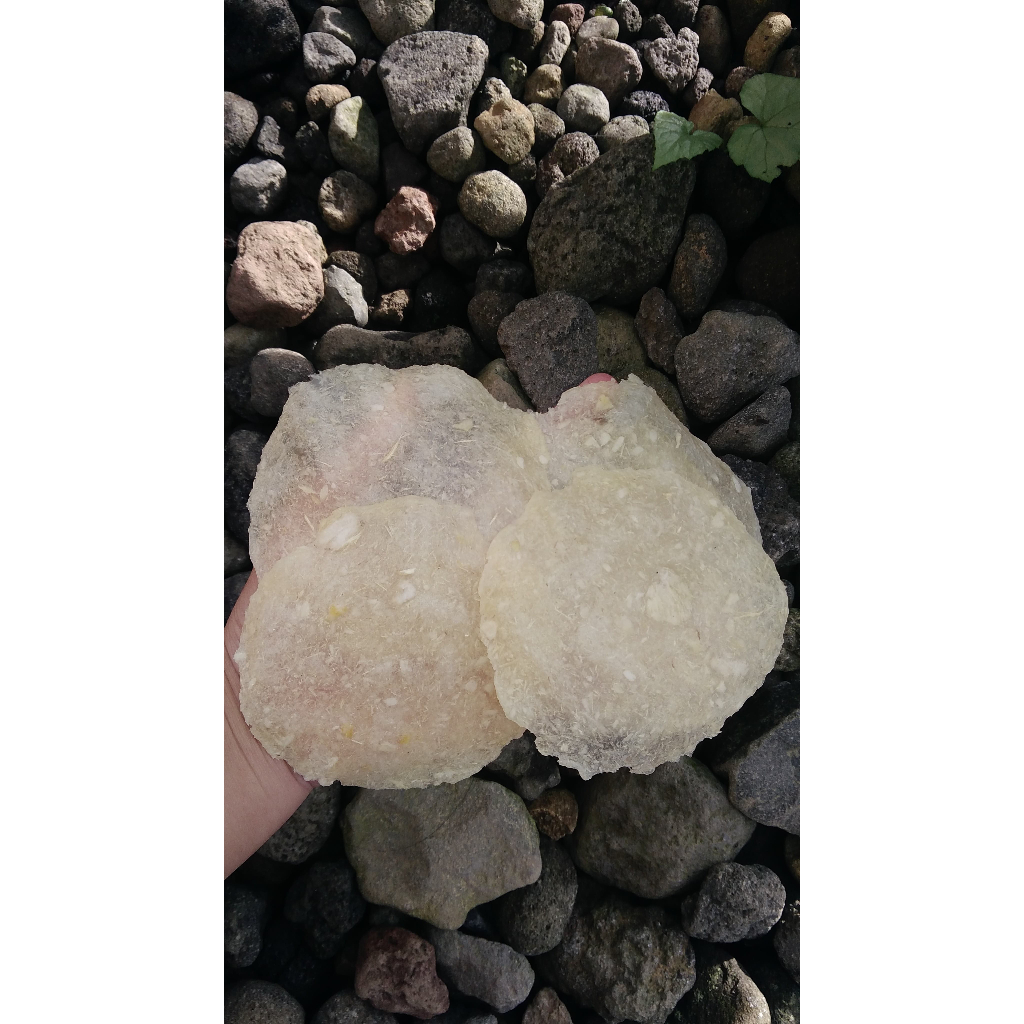 

Opak Gayeman by Mak Ica