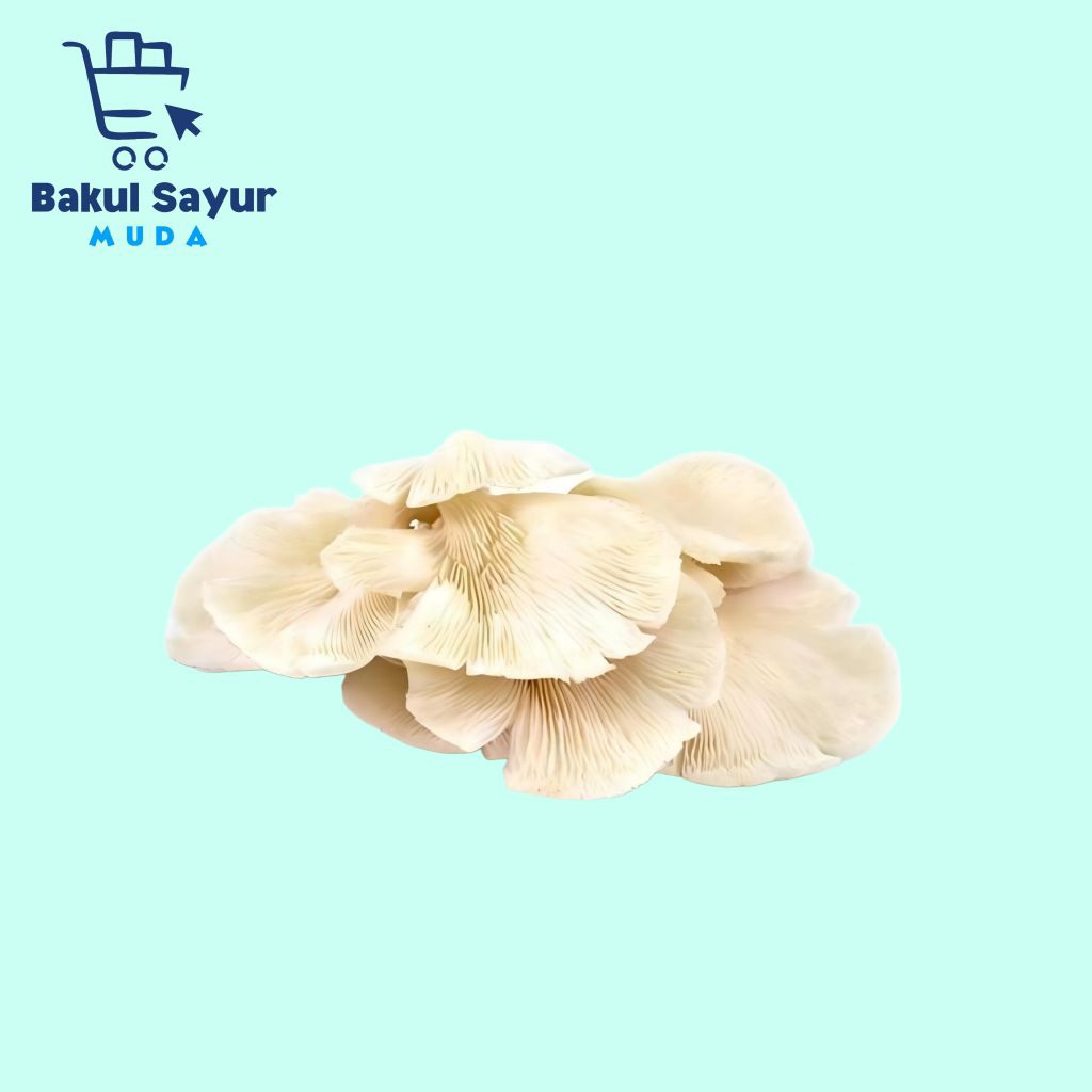 

Jamur Tiram 100 Gram
