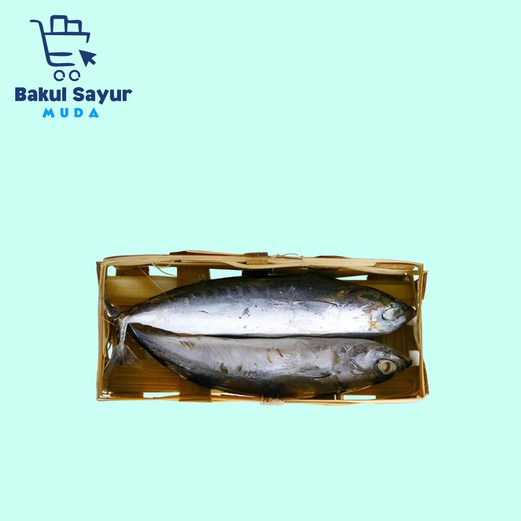 

Ikan Cue / Ikan Pindang Segar Keranjang Isi 2