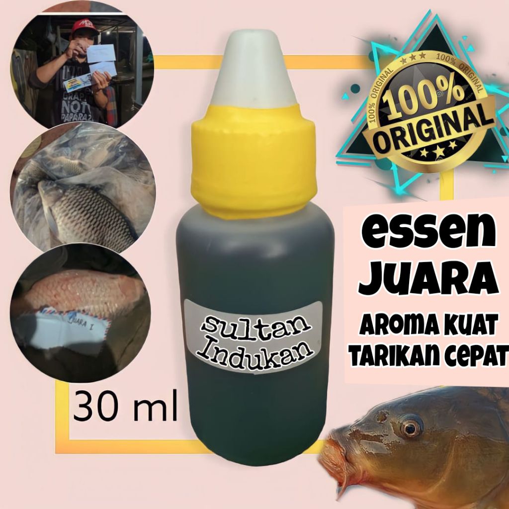 Essen Ikan Mas Sultan Indukan Juara  Essen Lomba Galatama Babon Dan Harian Terbukti Ampuh