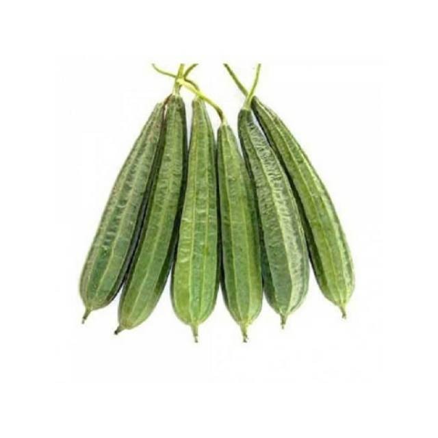 

Sayur Oyong Sayur Gambas Segar Fresh KIRIM INSTAN & SAMEDAY