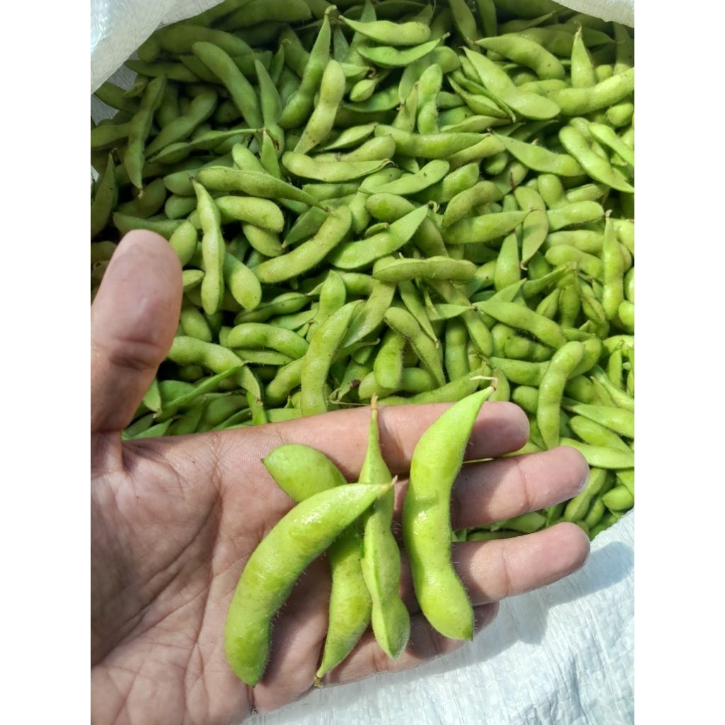 

EDAMAME FRES 500 GR