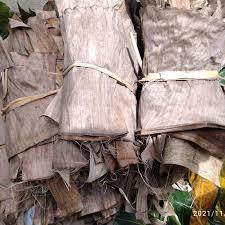 

Daun Klaras Kering (Daun Pisang Kering) – 1 Bungkus Daun Tradisional Serbaguna