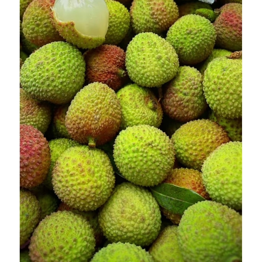 

Leci Madu / Lechy