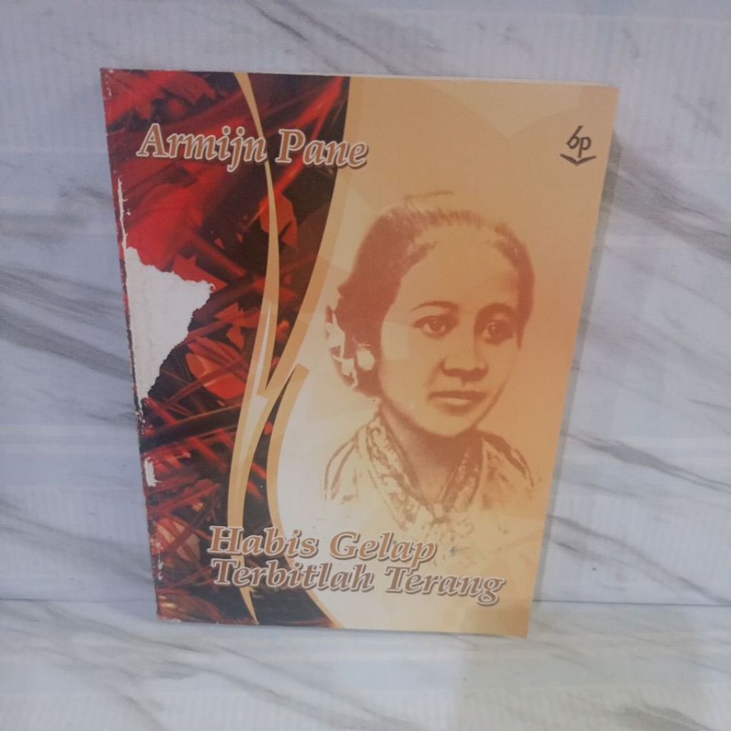 Novel Habis Gelap Terbitlah Terang by Armijn Pane
