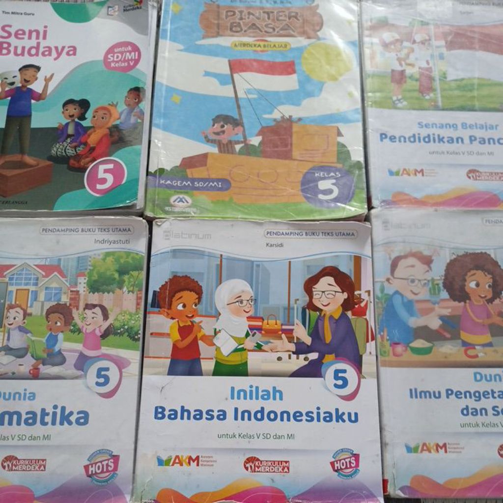 Buku Kelas 5 SD Erlangga Platinum