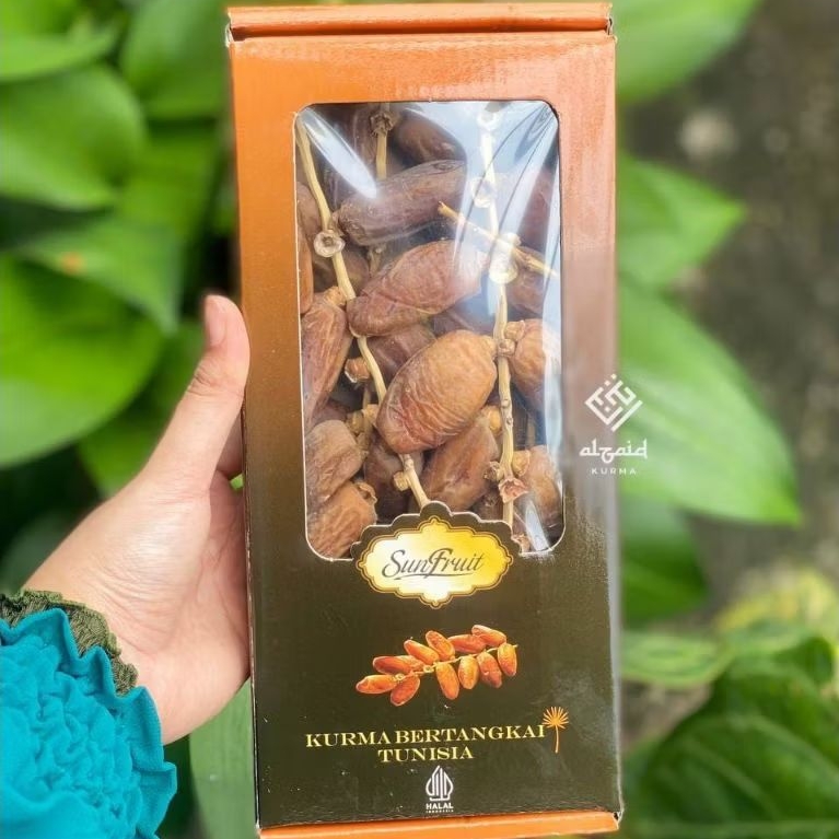 

Kurma Tunisia Tunis Tangkai Premium