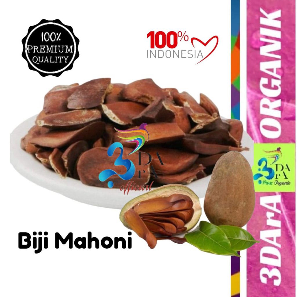 

Biji Mahoni Kering Asli Kualitas Premium