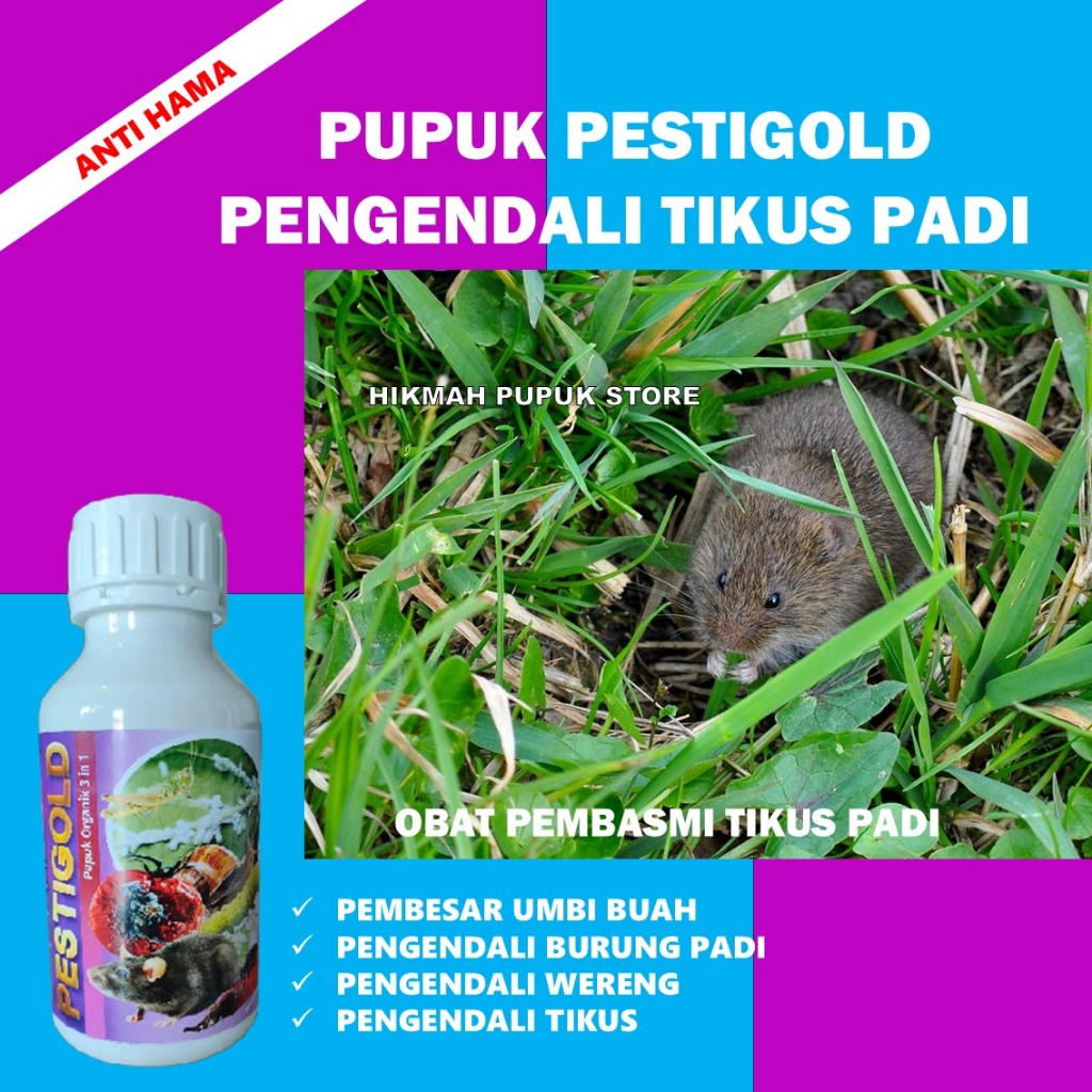 Pupuk Pestisida Cair 500 ml Anti Tikus Bisa Cod PESTIGOLD Pupuk Cair Atasi Tikus padi – Suburkan Dau