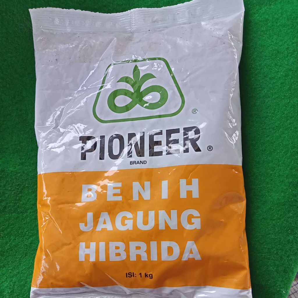 Bibit jagung pioner 1kg