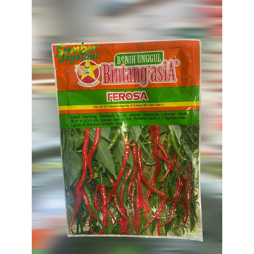 benih cabe keriting bintang asia ferosa