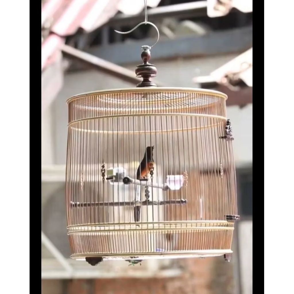 SANGKAR CUNGKOK MURAI MODEL VIETNAM