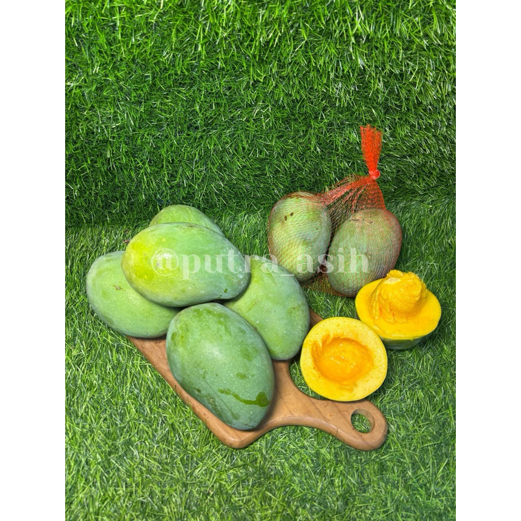 

Mangga Arum Manis Grade Super 1 kg