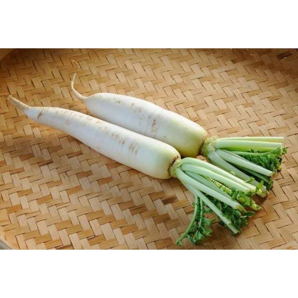 

lobak putih segar fresh termurah 250 gr 500 gr 1 kg