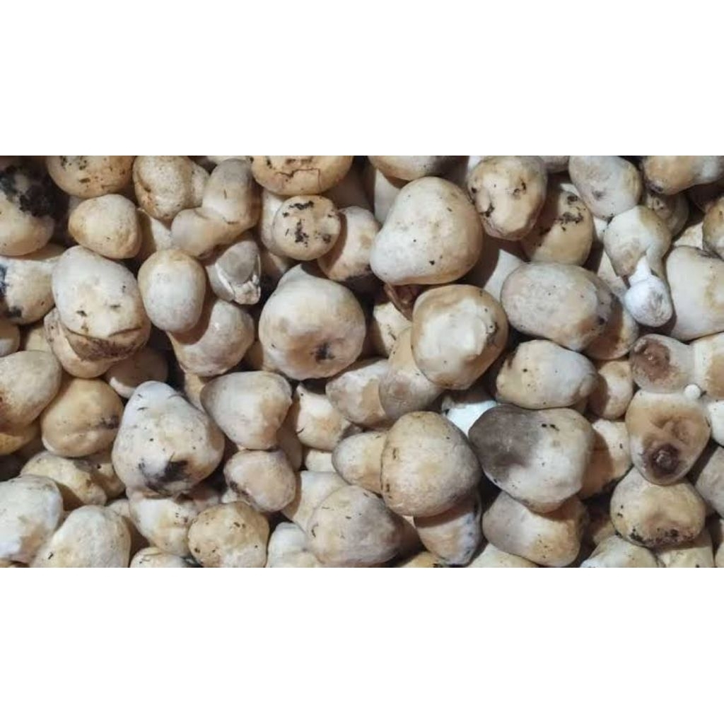 

jamur kancing merang fresh 250 gr 500 gr 1 kg