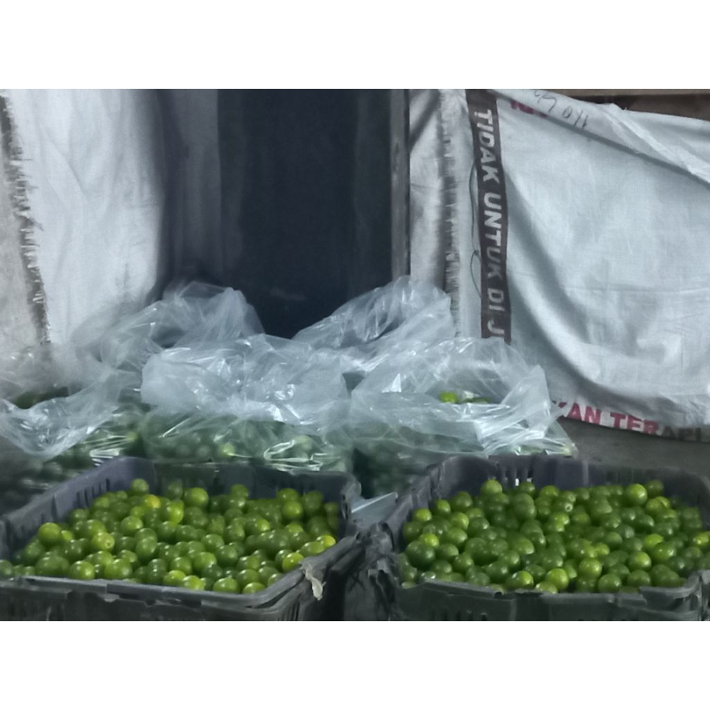 

Jeruk songkit/jeruk peras/lemon cuy/kasturi 500gram harga termurah