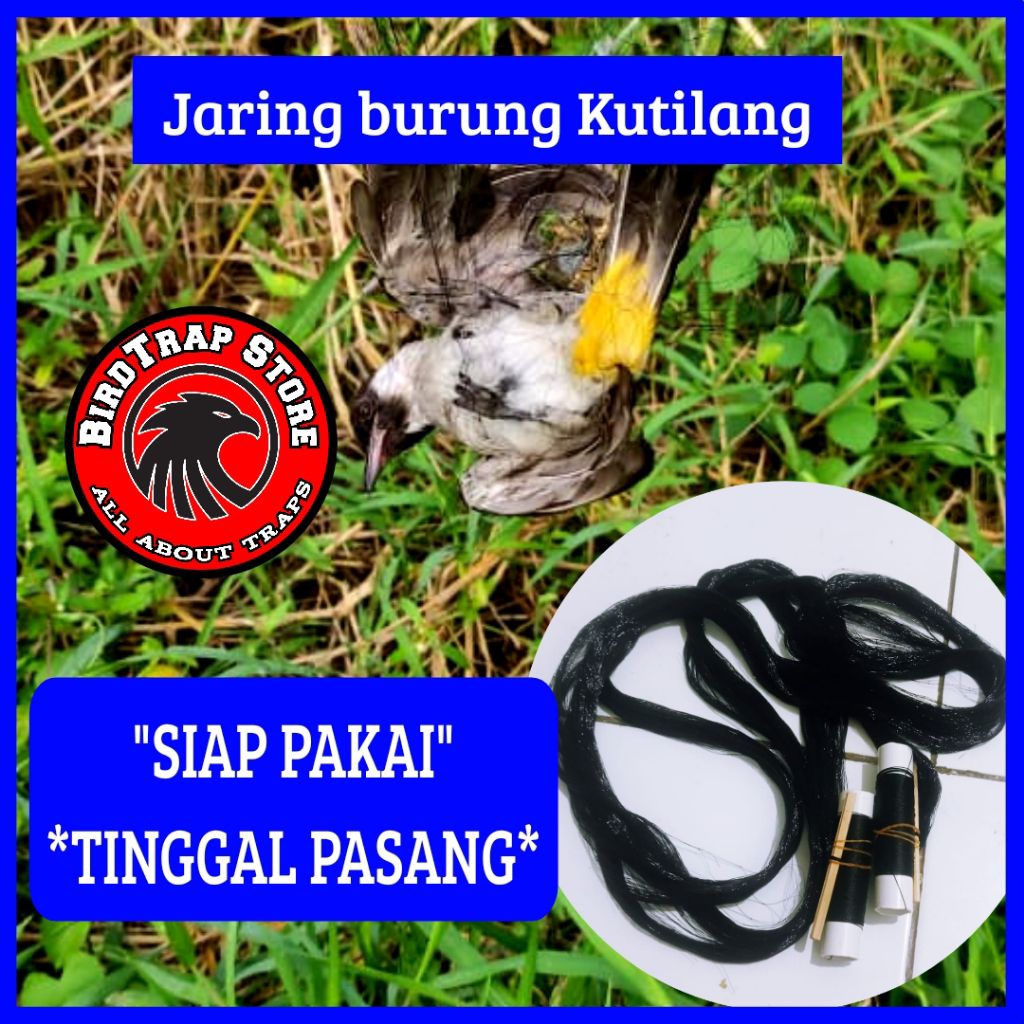 Jaring burung kutilang 20 meter, jaring burung kutilang siap pakai tinggal pasang panjang 20m, jebak