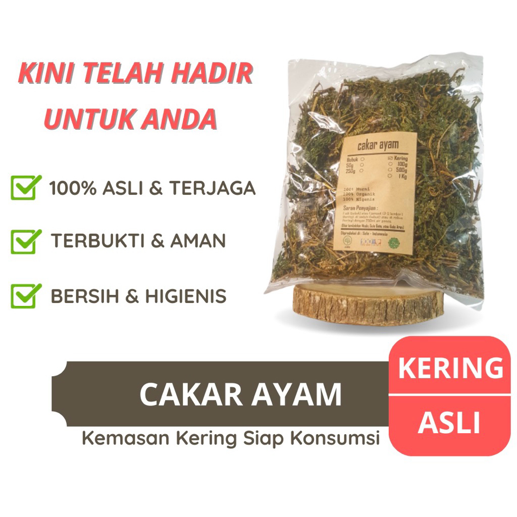 

daun herbal:daun cakar ayam