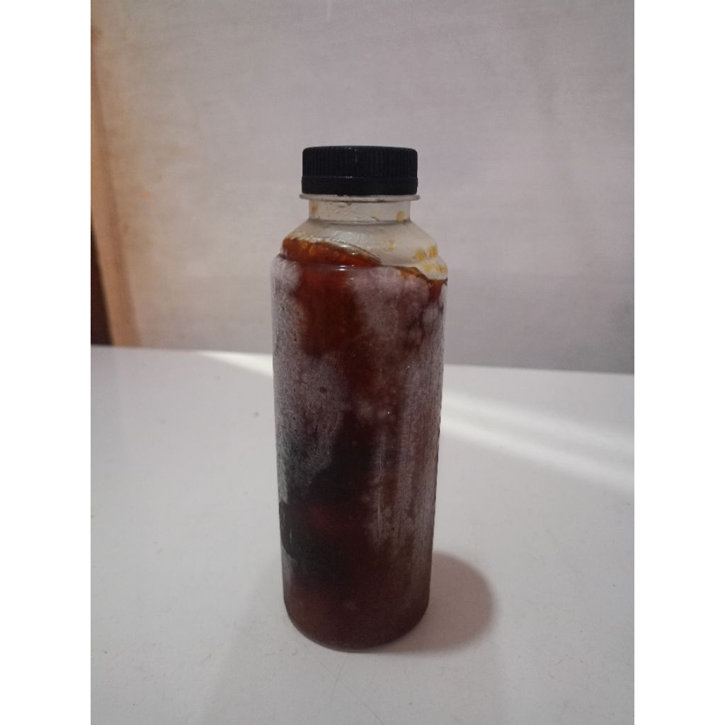 

cuko gula aren asli