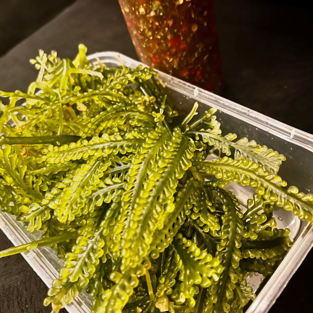 

sea grapes with thai sauce