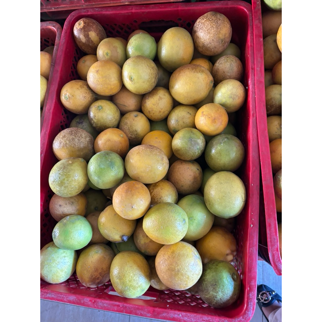 

jeruk lemon lokal batu 1kg