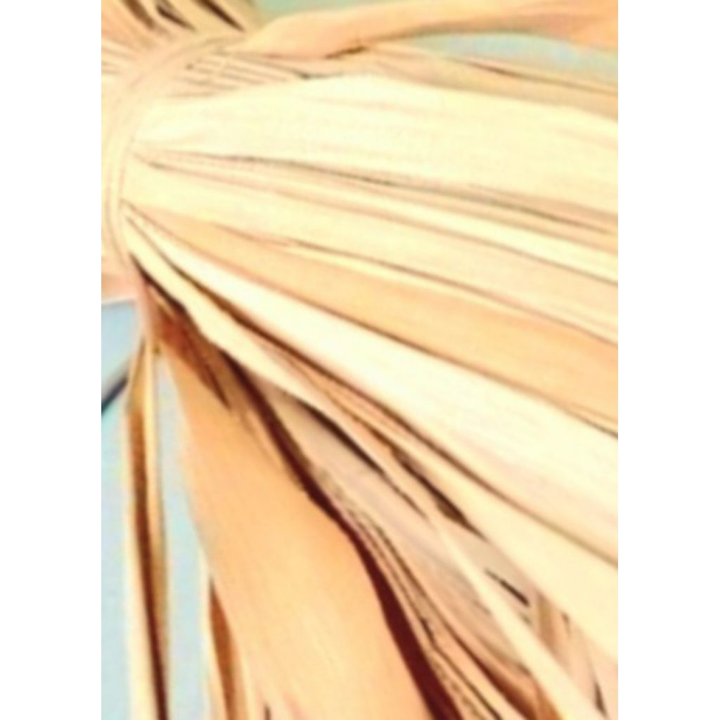 

Jual daun aren kering kuwalitas bagus 1 kg