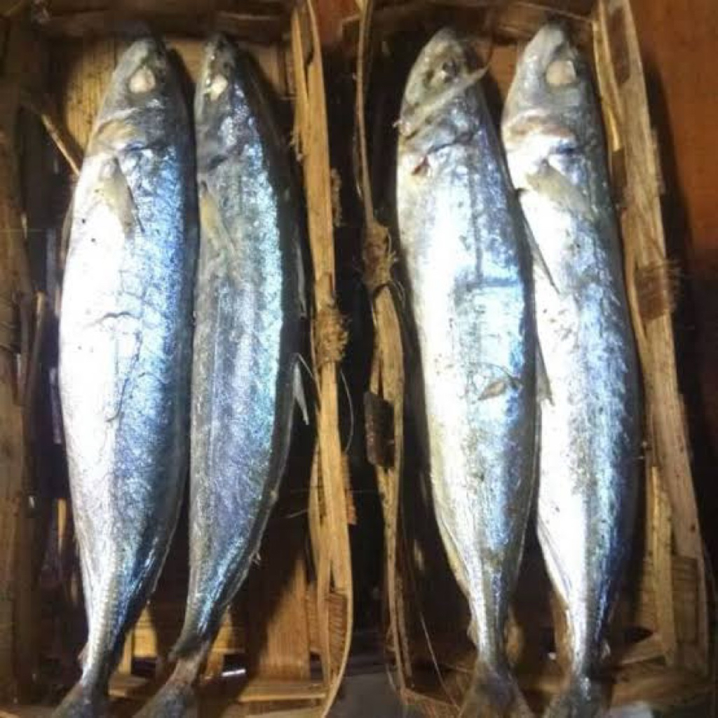 

Ikan pindang