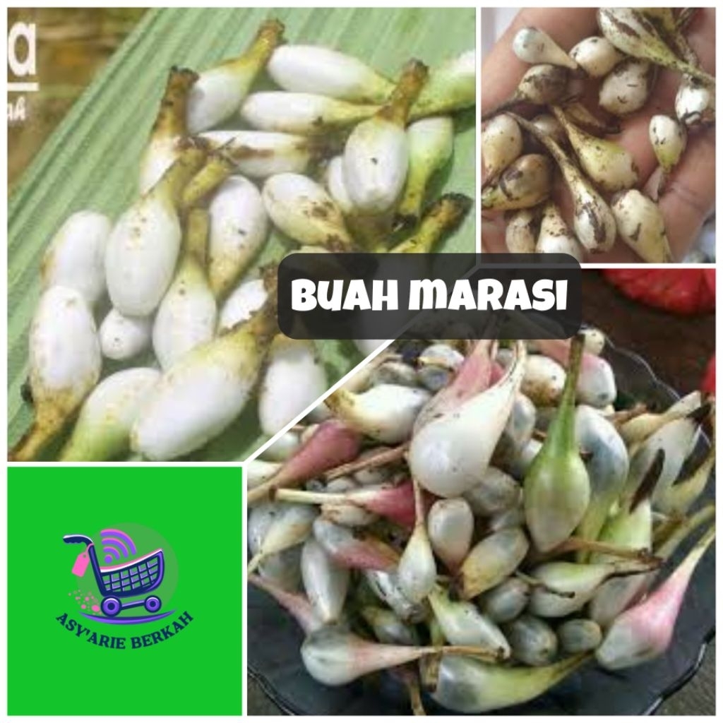

Buah marasi per 30 buah (paket segar dan siap konsumsi)