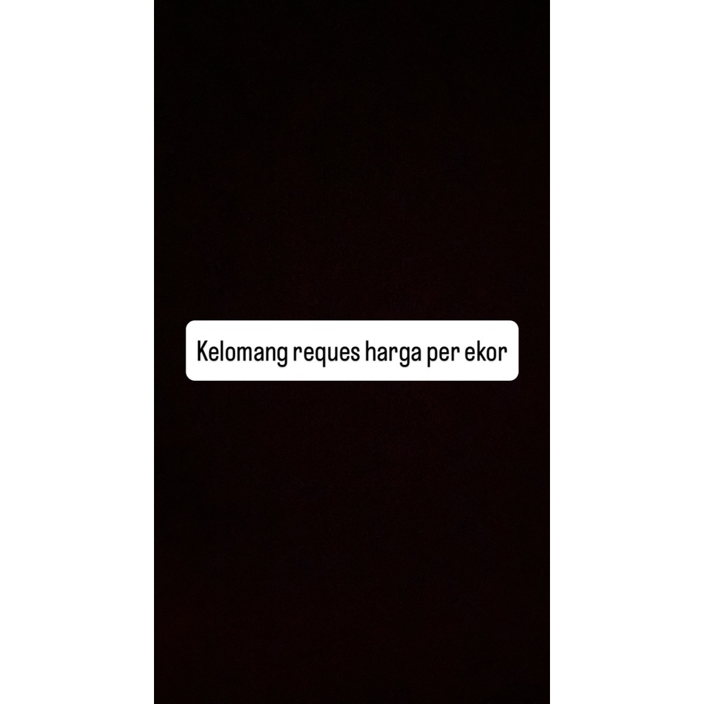 keong/kelomang/cakomang/rugosus/brevimanus/viola perbiji uk s-m