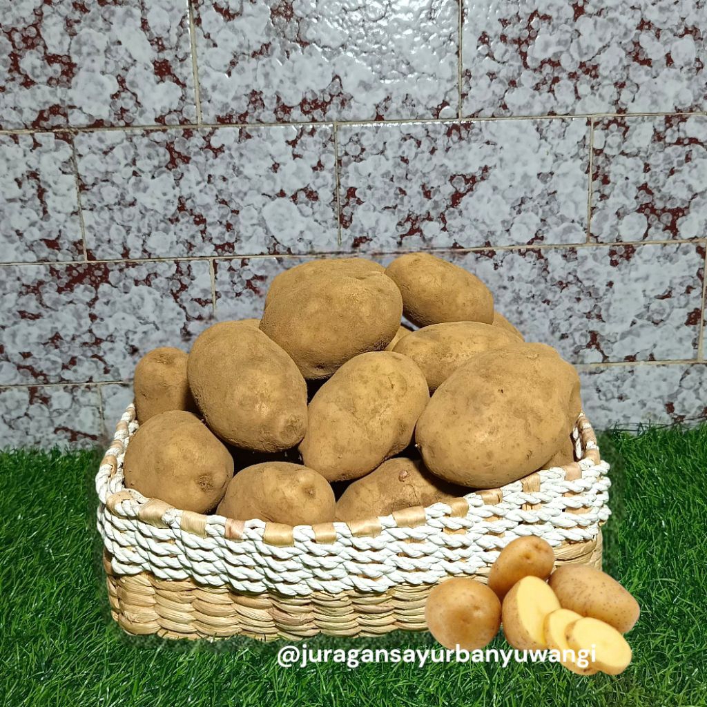 

Kentang Dieng super fresh Sedang Besar 500g