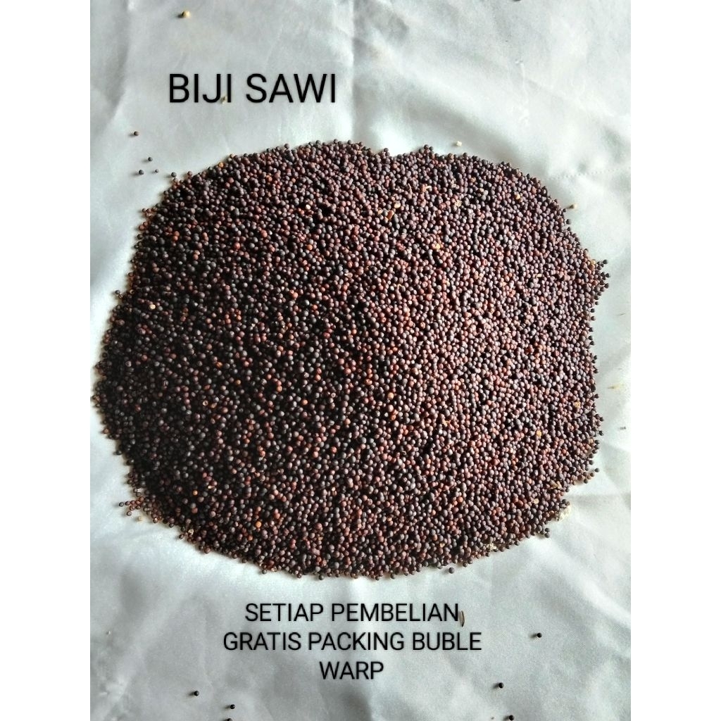 PAKAN BURUNG BIJI SAWI 250 GRAM BIJI PREMIUM UNTUK FINCH PAUD LOVEBIRD HARIAN