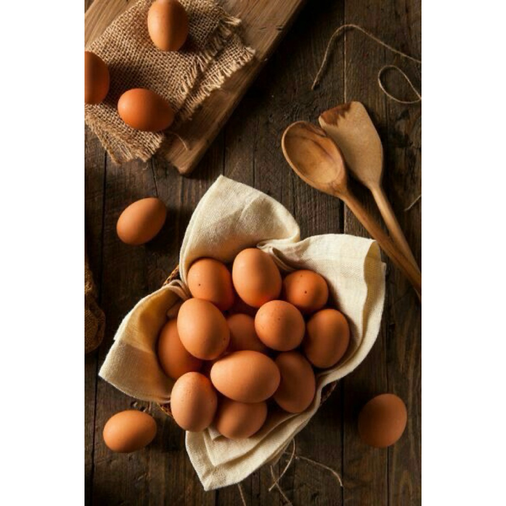 

Telur Ayam Omega 3 Organik