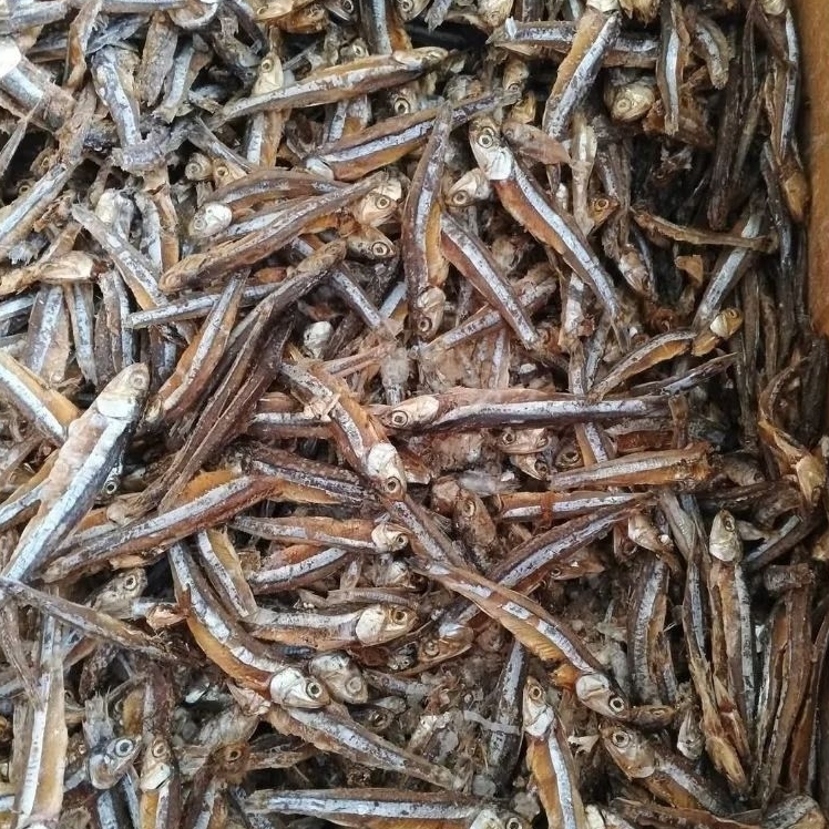 

Ikan Asin Teri Tawar Kering Super – Kualitas Premium, Bersih, Gurih | 100gr – 1Kg | Tanpa Pengawet | Siap Goreng