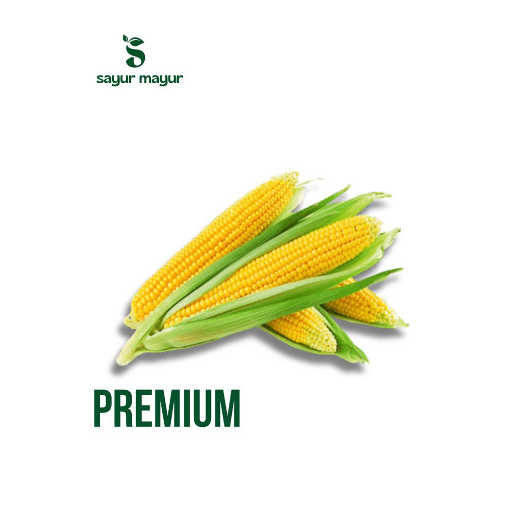 

Jagung Manis Sayuran 1pcs