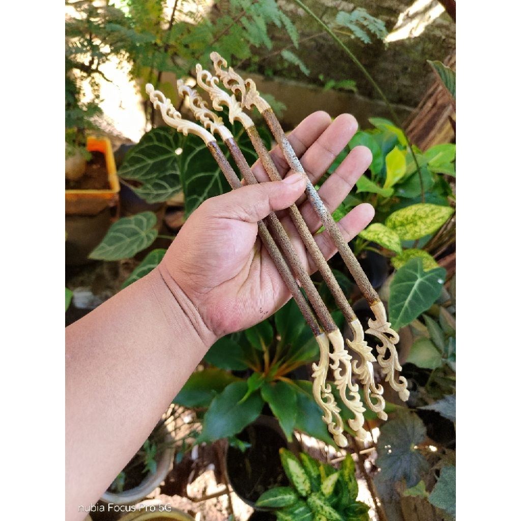 TANGKRINGAN KONIN SOGON BURCIL 29 CM ASEM BALI