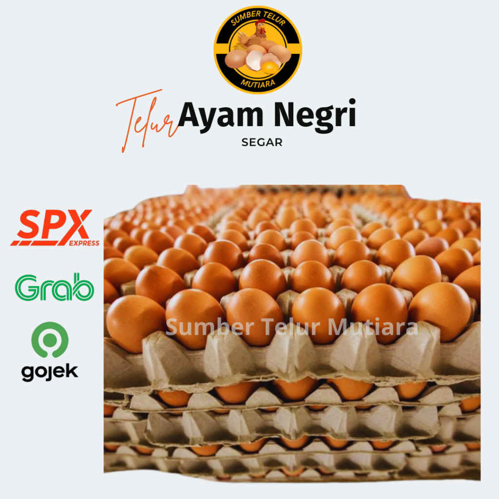 

Telur Ayam Negri Fresh / Telur Ayam Negri Segar 30 butir
