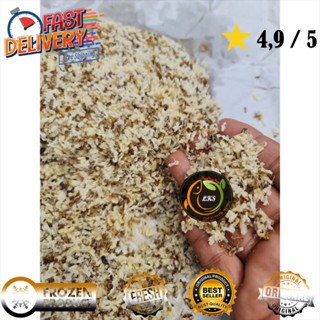 [ KROTO SUPER ] KROTO Frozen full halus