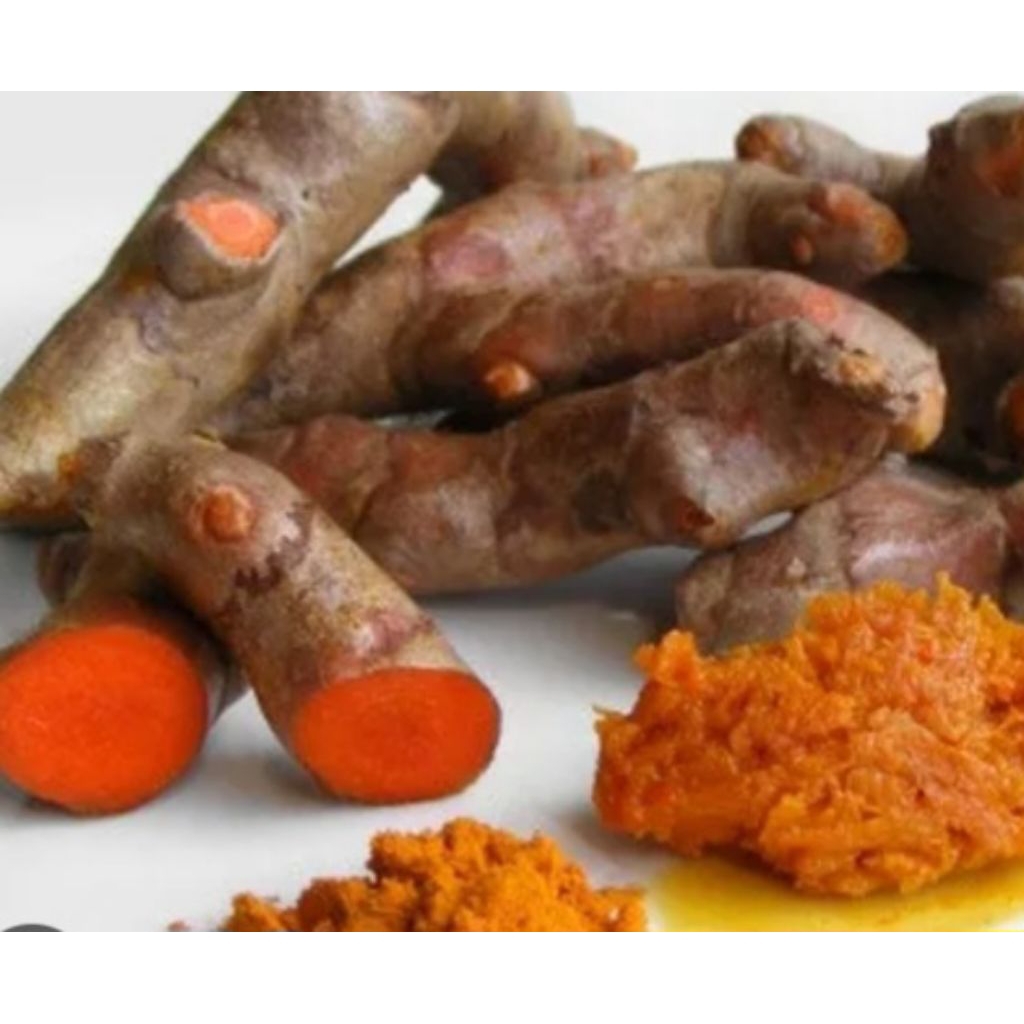 

Jual kunyit hutan atau koneng gede kuwalitas bagus organik 1 kg