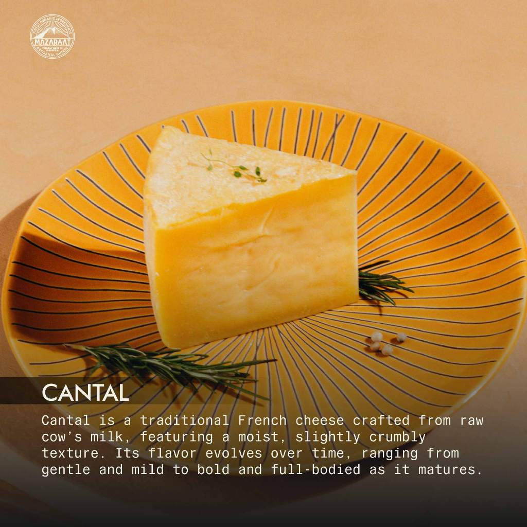 

MAZARAAT Keju Cantal Cheddar Clothbound Asli Prancis