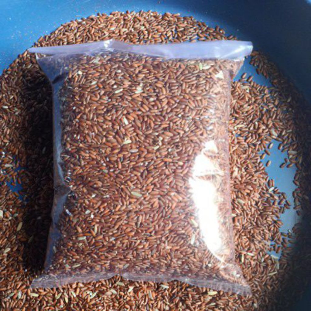 

Beras Merah Premium Pulen Organik Untuk Diet Dan Diabetes Best Seller Kemasan 500gram