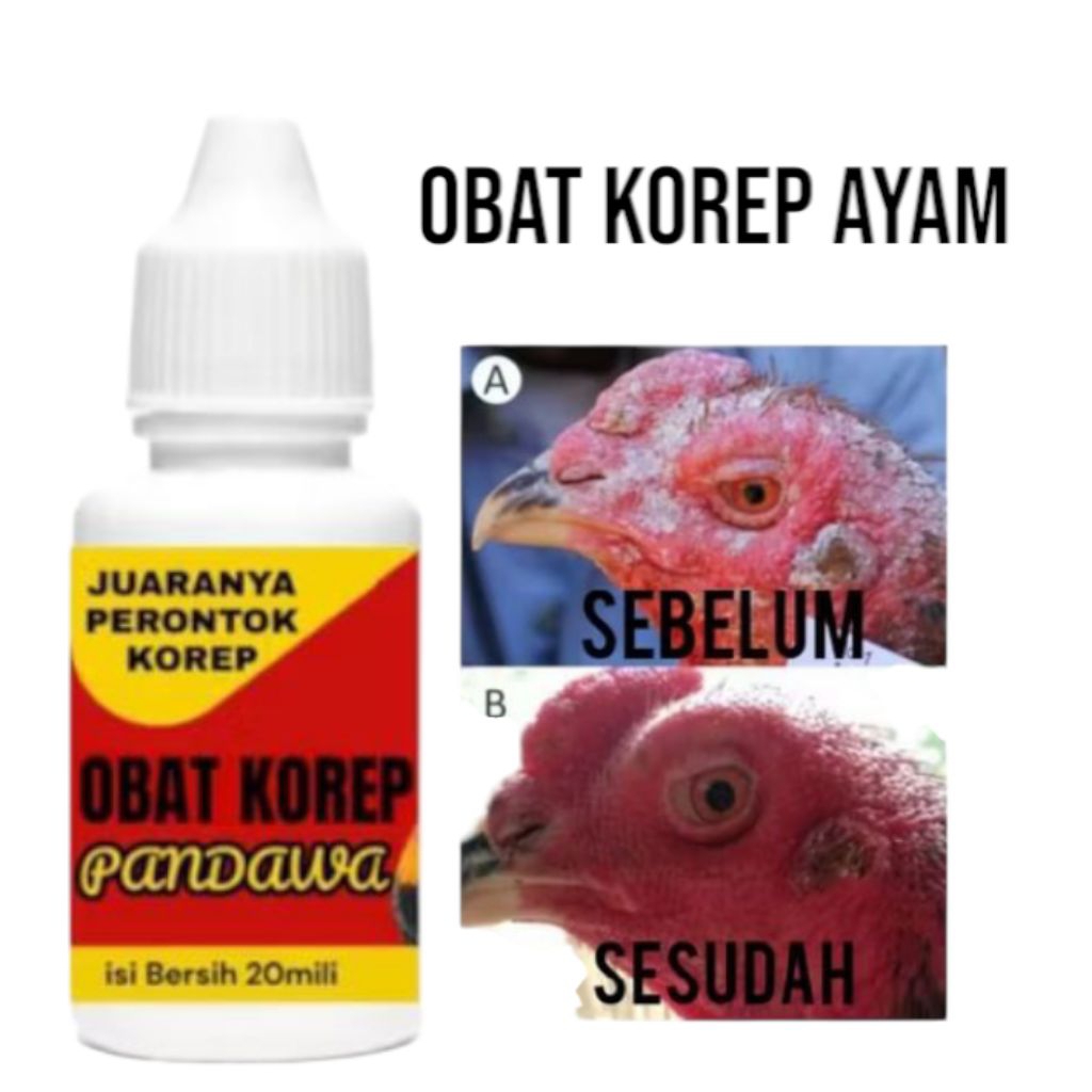 Obat korep ayam paling ampuh