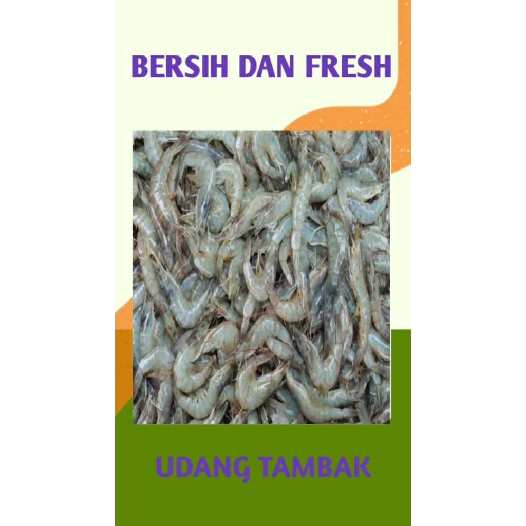 

UDANG TAMBAK SEGAR - PALEMBANG