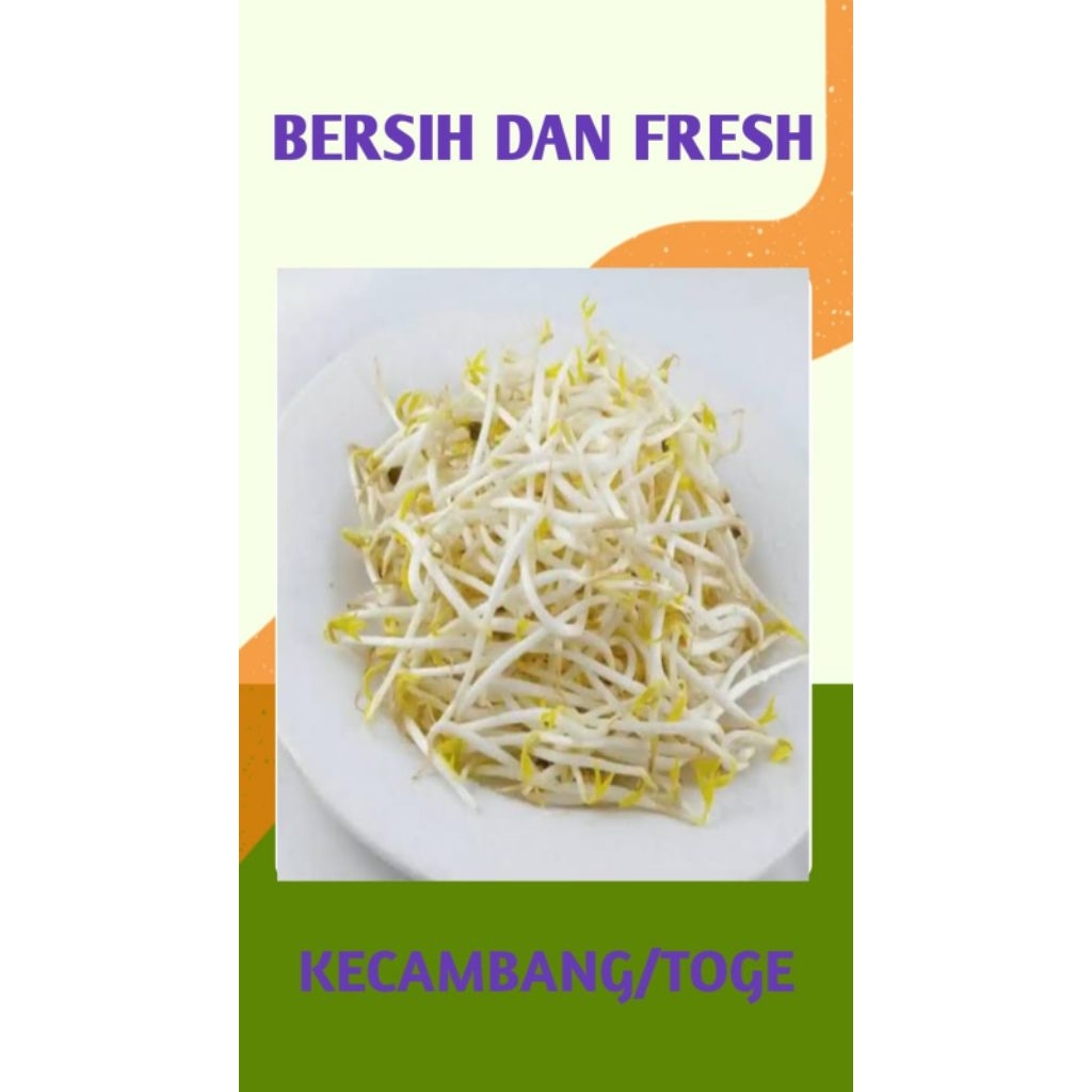 

TOGE / KECAMBAH SEGAR - PALEMBANG