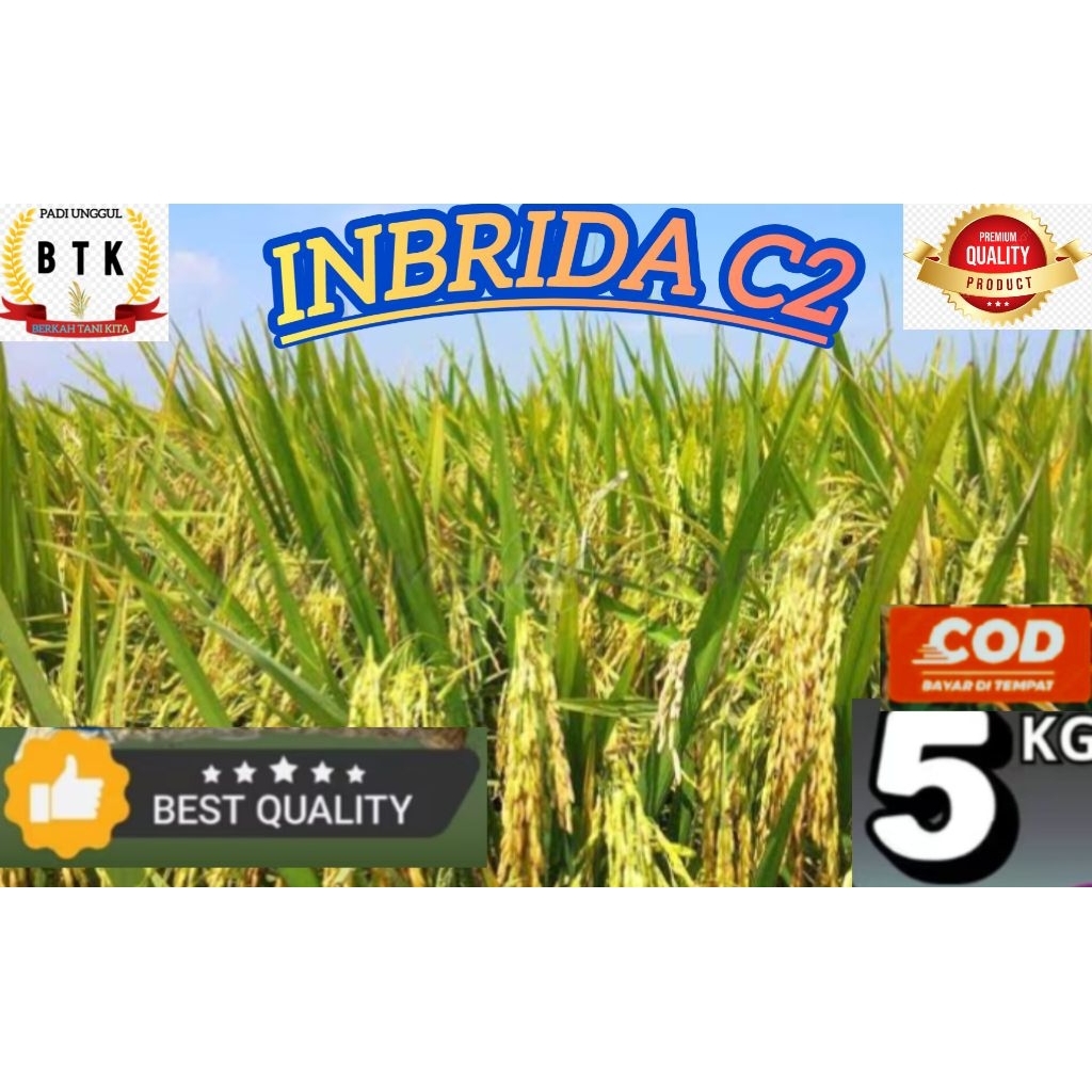 BENIH PADI INBRIDA C2 KEMASAN 5KG